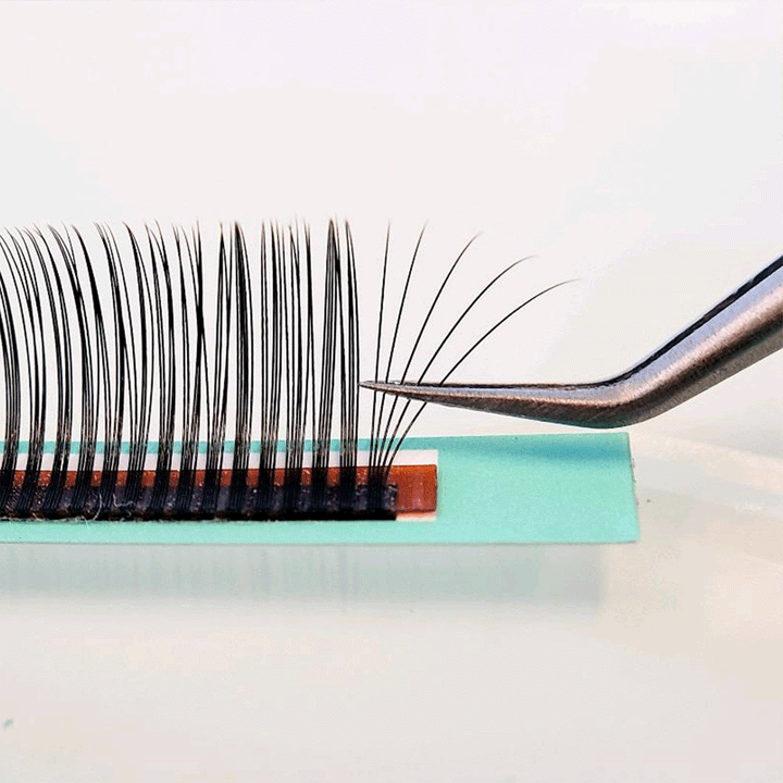 Perfect Fan 5D 0.07mm Lashes - Lashbox LA