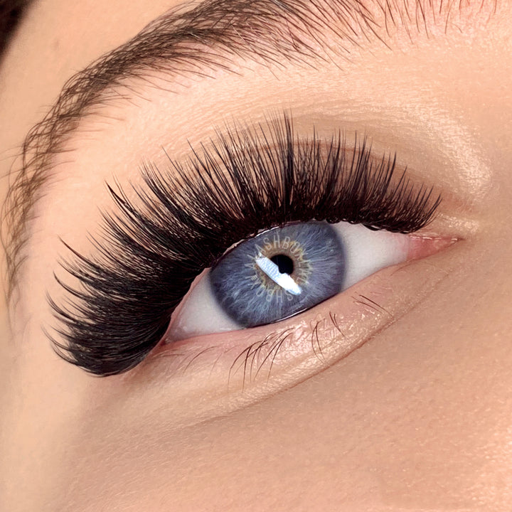 camellia lash tray model