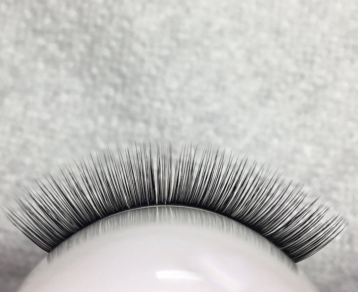 camellia lashes sample
