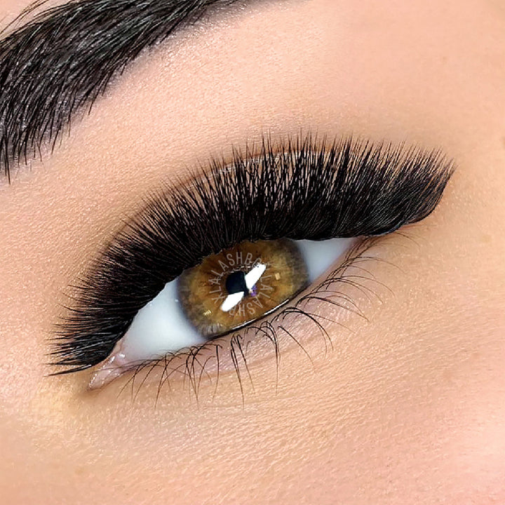 l curl lashes model