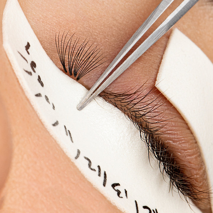 russian lash extensions placement