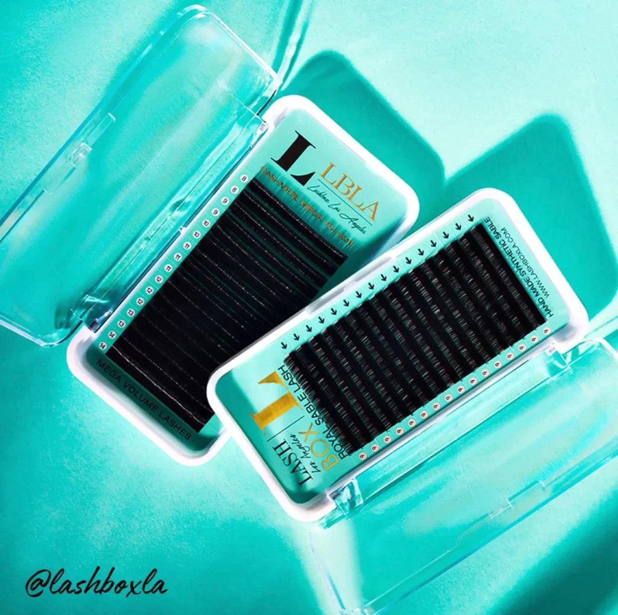 Professional Lash Extension Trays I LashBox LA